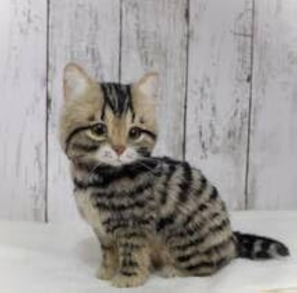 Amazon | funwari□□□ 羊毛フェルト キジトラ 薄めカラー 仔猫